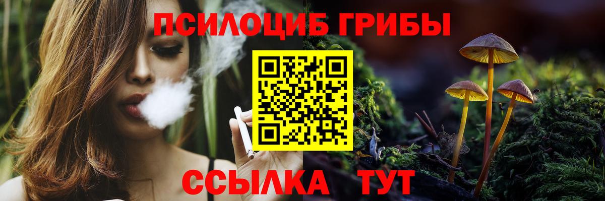 наркотики  Галлюциногенные грибы Cubensis  Псилоцибиновые грибы GOLDEN TEACHER  Вход с VPN  Людиново 